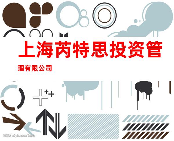 上海芮特思投资管理有限公司