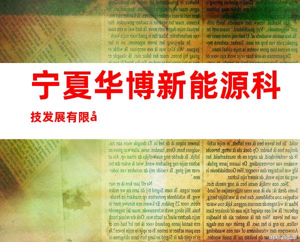 宁夏华博新能源科技发展有限公司