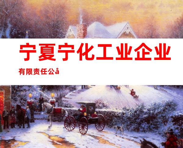 宁夏宁化工业企业有限责任公司