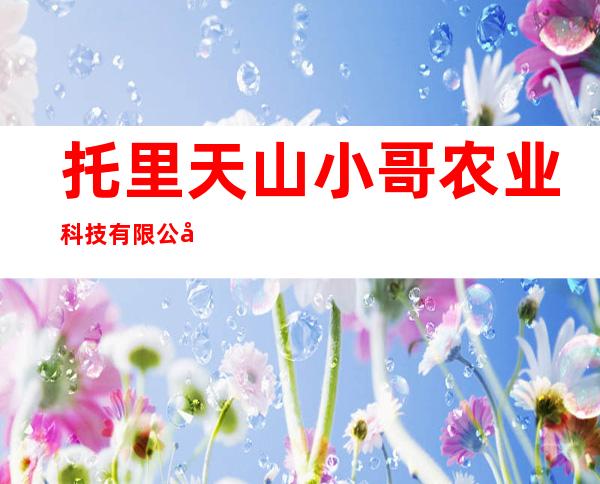 托里天山小哥农业科技有限公司