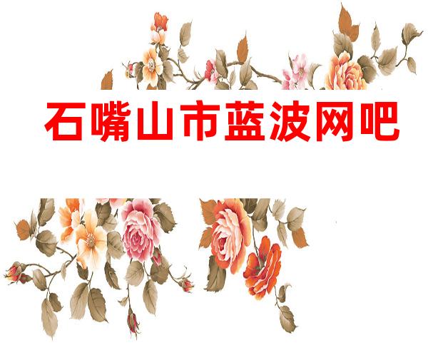 石嘴山市蓝波网吧