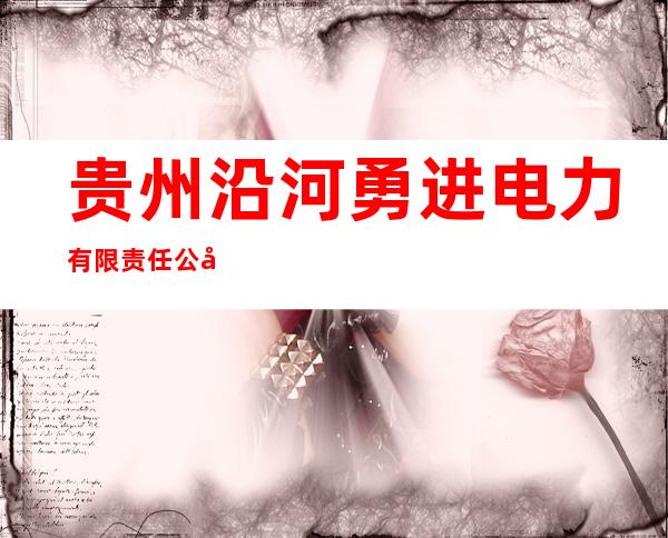 贵州沿河勇进电力有限责任公司