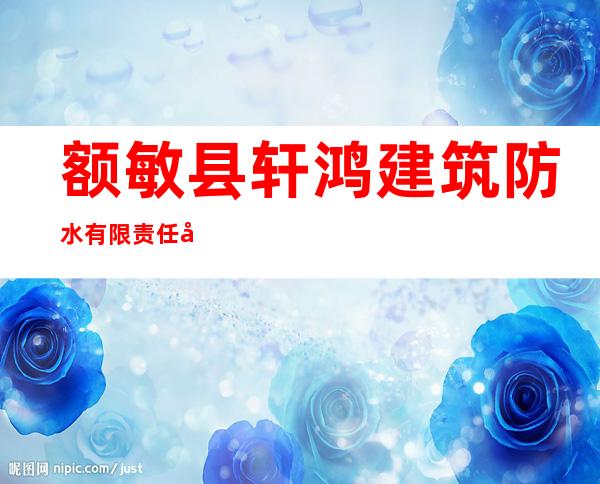 额敏县轩鸿建筑防水有限责任公司